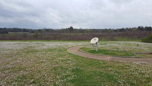 A grassy field with white flowers, a winding path, and a signpost under a cloudy sky.