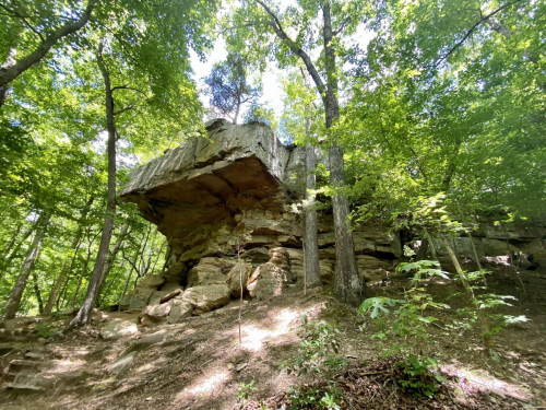 A large rock formation sits atop a smaller base, surrounded by lush green trees in a forested area.