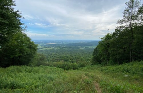 A scenic view of rolling green hills under a cloudy sky, with trees framing the foreground.