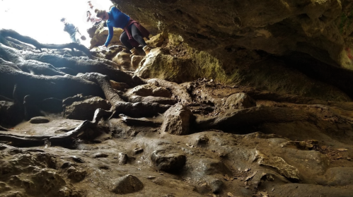 A rocky cave interior with tree roots and people climbing up towards the light at the entrance.