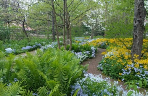 A lush garden path surrounded by vibrant flowers and ferns, with trees and greenery in the background.