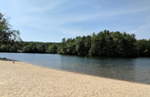 A sandy beach beside a calm river, surrounded by lush green trees under a clear blue sky.