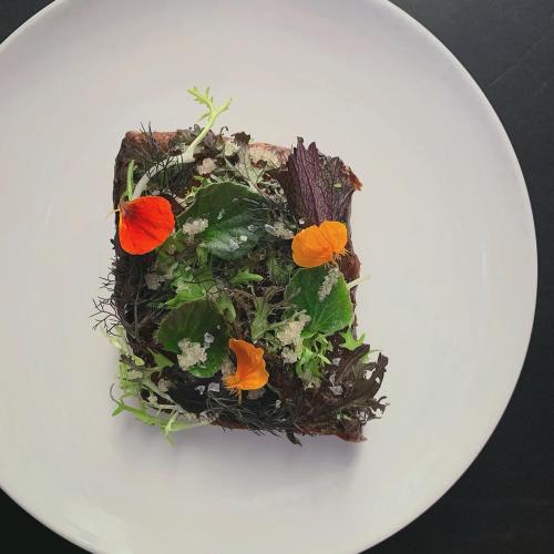 A beautifully arranged dish featuring vibrant greens and edible flowers on a white plate.