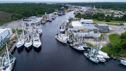 Aerial view of a marina with fishing boats docked along a narrow waterway, surrounded by greenery and buildings.