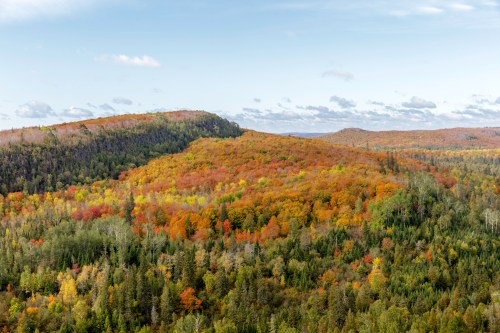A panoramic view of a forested landscape in autumn, showcasing vibrant orange, yellow, and green foliage under a blue sky.