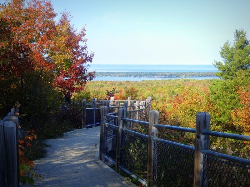 A scenic pathway lined with wooden fences, surrounded by vibrant autumn foliage, leading to a view of a lake.