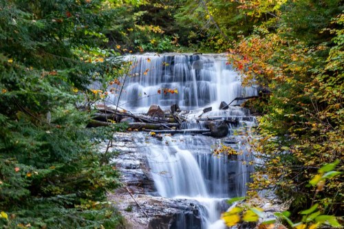 A serene waterfall cascades over rocks, surrounded by vibrant autumn foliage and lush greenery.