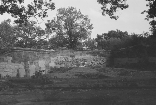 Black and white image of a weathered stone wall covered in graffiti, surrounded by trees and overgrown vegetation.
