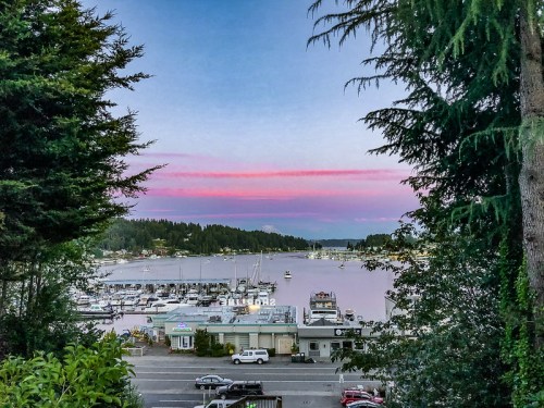 A scenic view of a marina at sunset, with boats docked and pink clouds above, framed by trees.