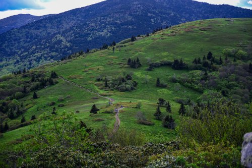 A scenic view of rolling green hills and a winding path, surrounded by trees and mountains under a cloudy sky.