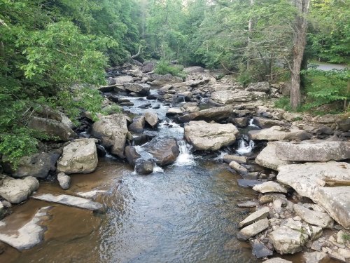 A serene stream flows over rocks, surrounded by lush green trees in a peaceful natural setting.