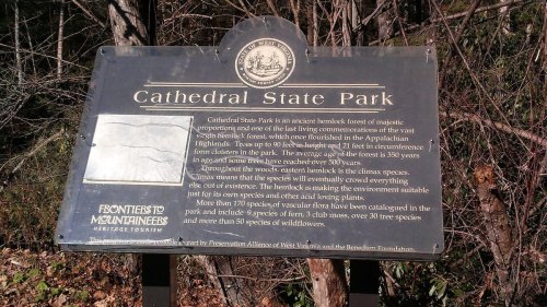 Sign at Cathedral State Park detailing its ancient forest, climate, and biodiversity, including tree species and conservation efforts.