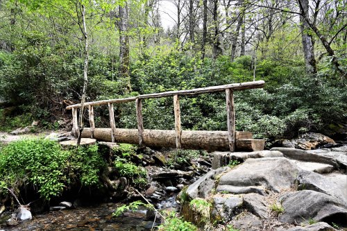 A rustic wooden bridge spans a small stream, surrounded by lush greenery and rocky terrain in a forested area.