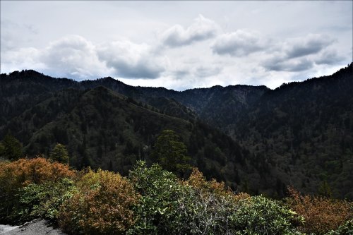 A scenic view of mountains under a cloudy sky, with lush greenery and autumn-colored foliage in the foreground.