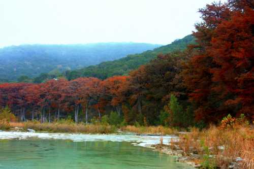 A serene landscape featuring a calm river, vibrant autumn trees, and misty mountains in the background.