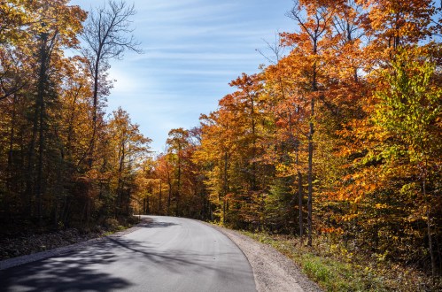 A winding road surrounded by vibrant autumn trees with orange and yellow leaves under a clear blue sky.