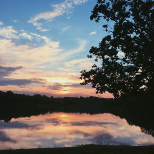 A serene sunset over a calm lake, with vibrant colors reflecting on the water and a silhouette of trees in the foreground.