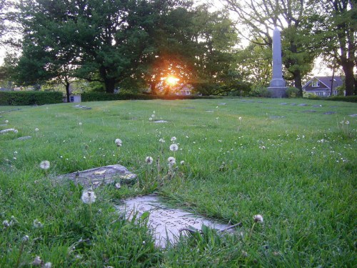 A serene graveyard at sunset, with dandelions and gravestones surrounded by lush green grass and trees.