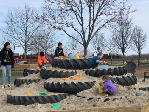 Children playing in a sandy playground with large tire structures, collecting orange balls and using colorful buckets.