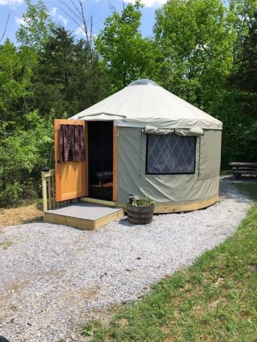 A cozy yurt surrounded by greenery, with a wooden door and gravel path leading to it.