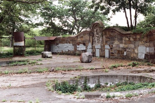 Overgrown, abandoned site featuring a stone wall, large rocks, and remnants of structures amidst greenery.
