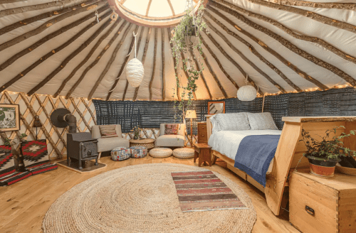 Cozy yurt interior with a circular skylight, wooden furniture, plants, and a warm, inviting atmosphere.
