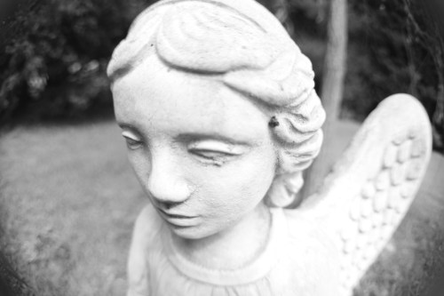 A close-up of a stone angel statue with detailed features and wings, set against a blurred natural background.