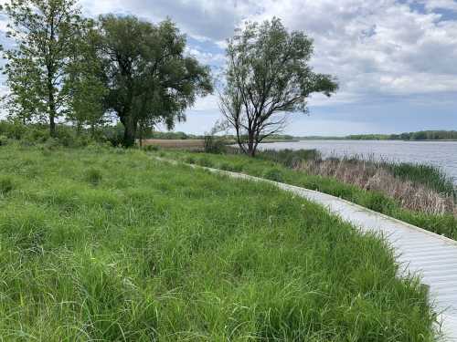 A serene landscape featuring a grassy area, trees, and a winding boardwalk by a calm river under a cloudy sky.