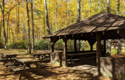 A wooden picnic shelter surrounded by trees with vibrant autumn foliage and picnic tables on the ground.