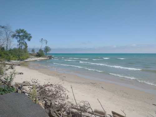 A serene beach scene with gentle waves, sandy shore, and trees lining the coast under a clear blue sky.