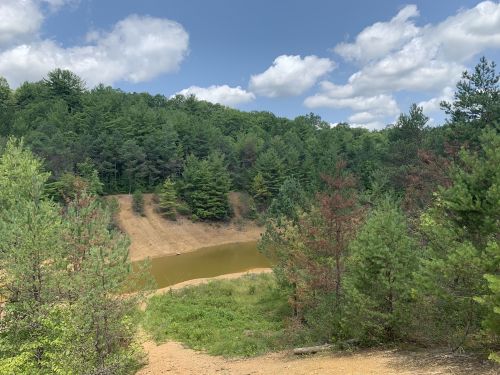 A serene landscape featuring a small pond surrounded by lush green trees and a blue sky with fluffy clouds.