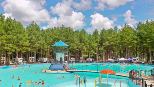 A vibrant outdoor pool surrounded by tall trees, with people swimming and enjoying the sunny day.
