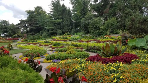 A vibrant garden filled with colorful flowers and lush greenery, featuring winding paths and diverse plant arrangements.
