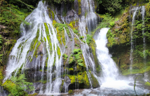 A lush waterfall cascading over moss-covered rocks in a vibrant green forest.