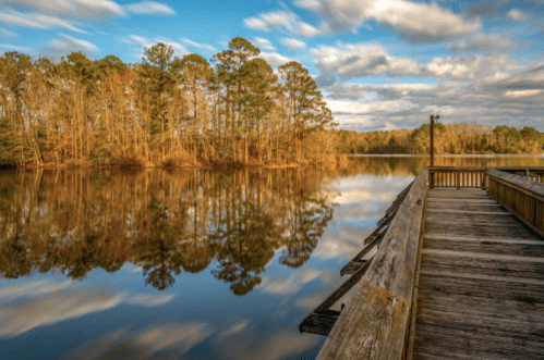 A serene lake scene with a wooden dock, surrounded by trees reflecting in the calm water under a cloudy sky.