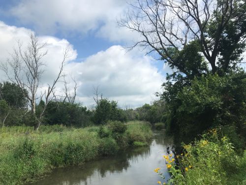 A serene river flows through lush greenery under a partly cloudy sky, with trees lining the banks.