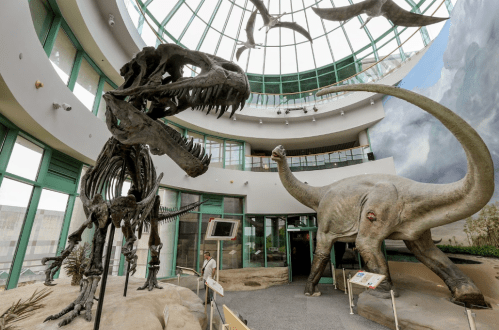 A dinosaur exhibit featuring a T. rex skeleton and a large dinosaur model in a modern museum setting.