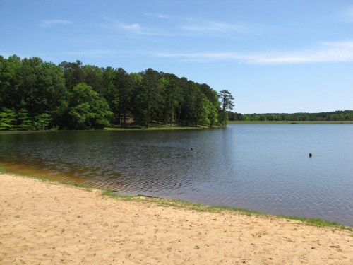A serene lake surrounded by lush green trees, with a sandy shore under a clear blue sky.