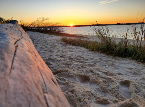 A serene beach scene at sunset, featuring a log on sandy shore and gentle waves reflecting the orange sky.