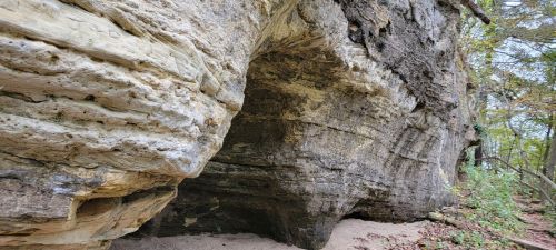 A large rock formation with layered textures, surrounded by trees and sandy ground.