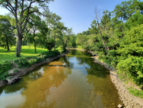 A serene river flows through a lush green landscape, surrounded by trees and clear blue skies.