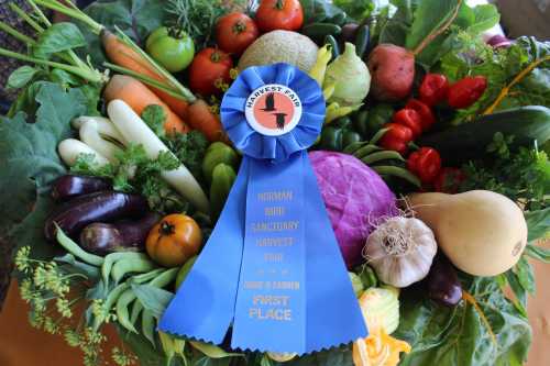 A colorful assortment of fresh vegetables with a blue ribbon labeled "First Place" from a harvest festival.