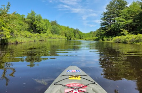A kayak on calm water surrounded by lush greenery and trees under a clear blue sky.