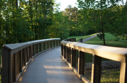 A wooden bridge winding through a lush green park, surrounded by trees and sunlight.