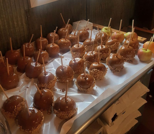 A tray of caramel apples coated in nuts, arranged neatly with wooden sticks for easy handling.