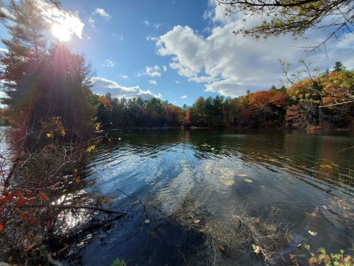 A serene lake surrounded by trees with autumn foliage under a bright blue sky and fluffy clouds.