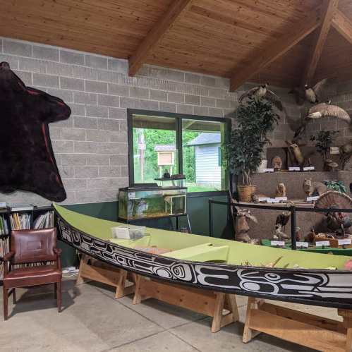 A green canoe inside a wooden building, with a chair, display cases, and a large bear skin on the wall.