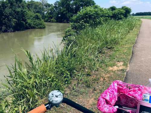 A view of a river alongside a path, with lush greenery and a bicycle handlebar in the foreground.