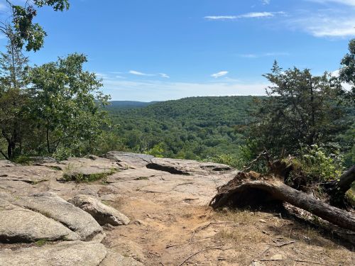 A rocky overlook with a view of lush green hills and a clear blue sky in the background.