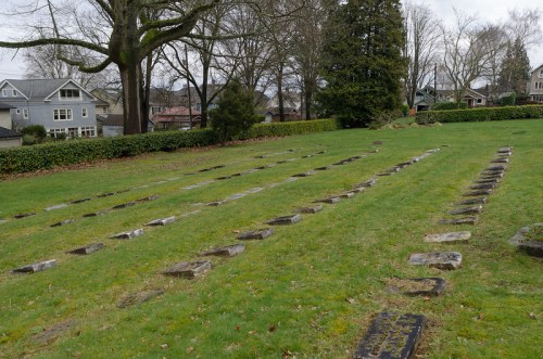A grassy cemetery with rows of gravestones, surrounded by trees and houses in the background.